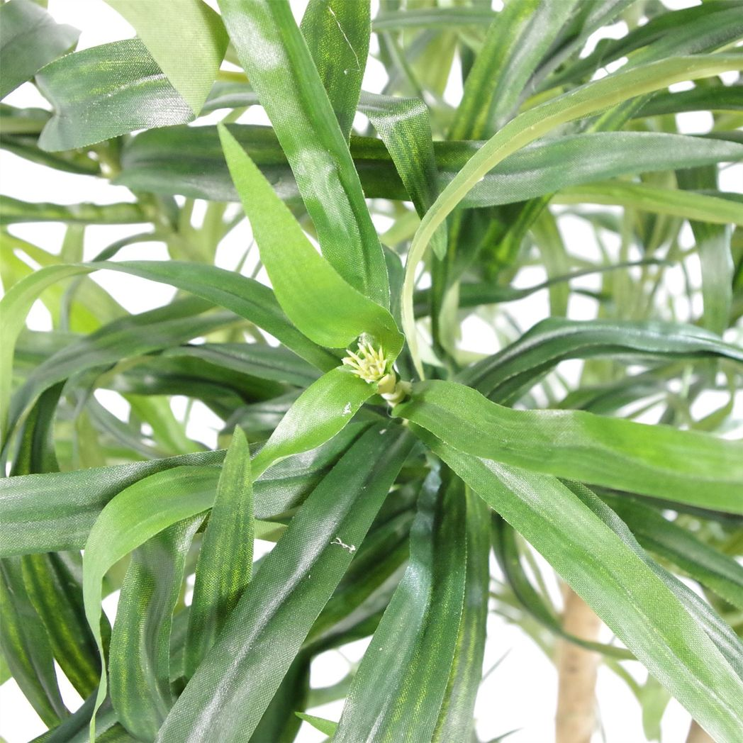 {
  "title": "100cm Artificial Dracaena Plant Tree with Pot",
  "description": "Artificial dracaena plant tree with included pot. Measures 100cm in height."
}