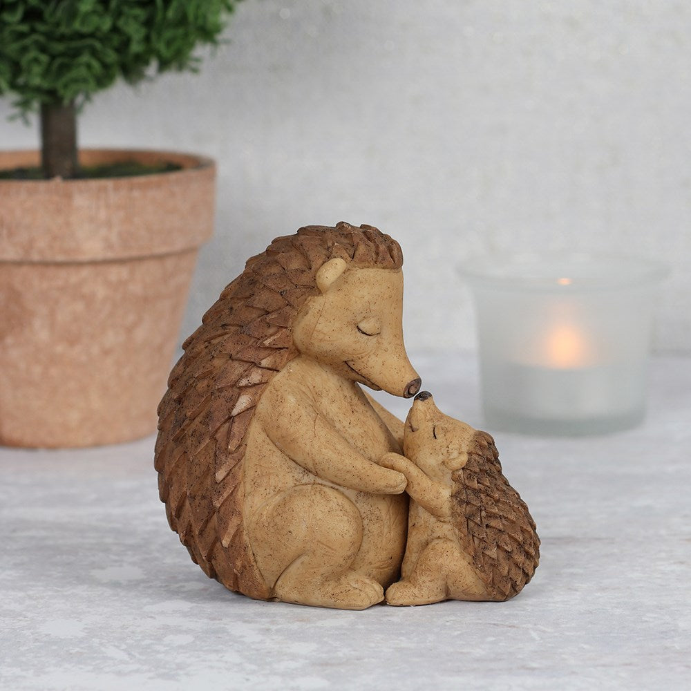 Mother and Baby Hedgehog