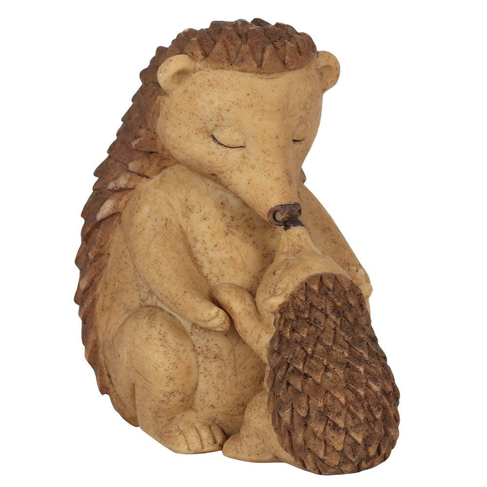 Mother and Baby Hedgehog