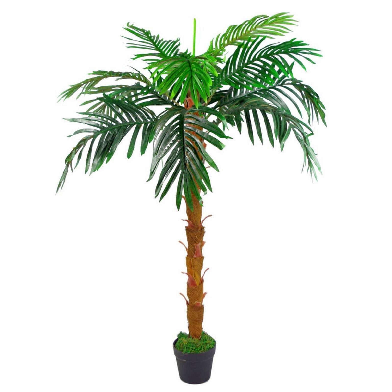130cm artificial Princess Palm tree with realistic fronds.