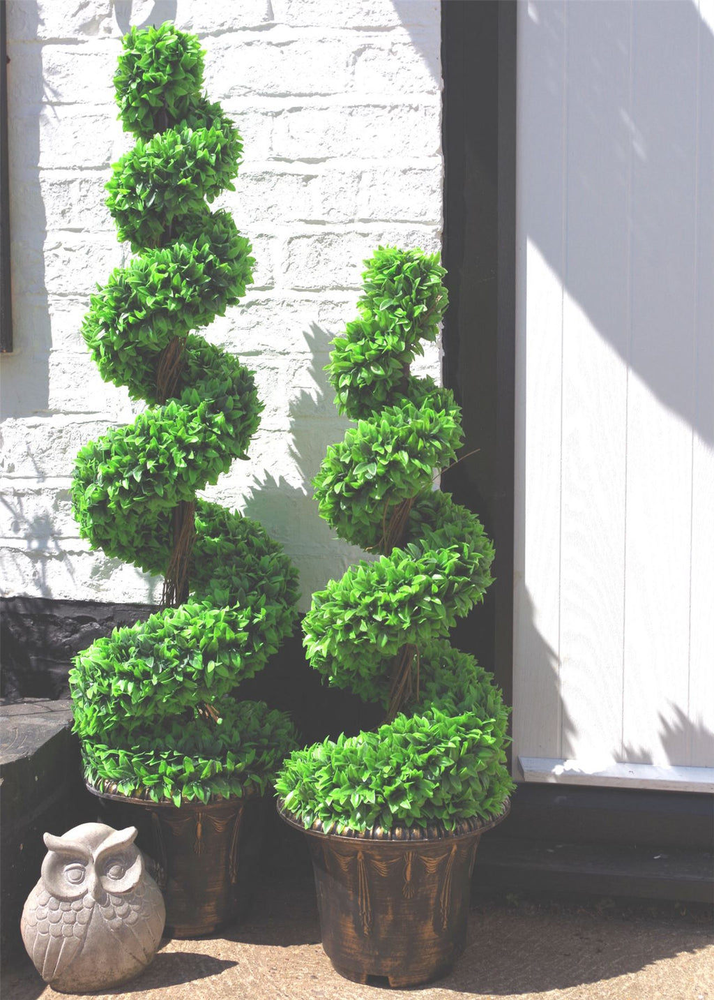 Pair of 120cm spiral topiary trees with decorative planters.