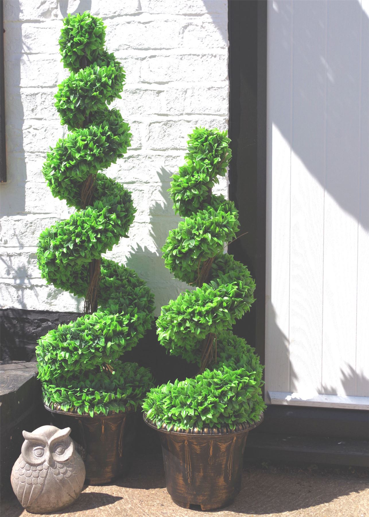 Pair of 120cm spiral topiary trees with decorative planters.