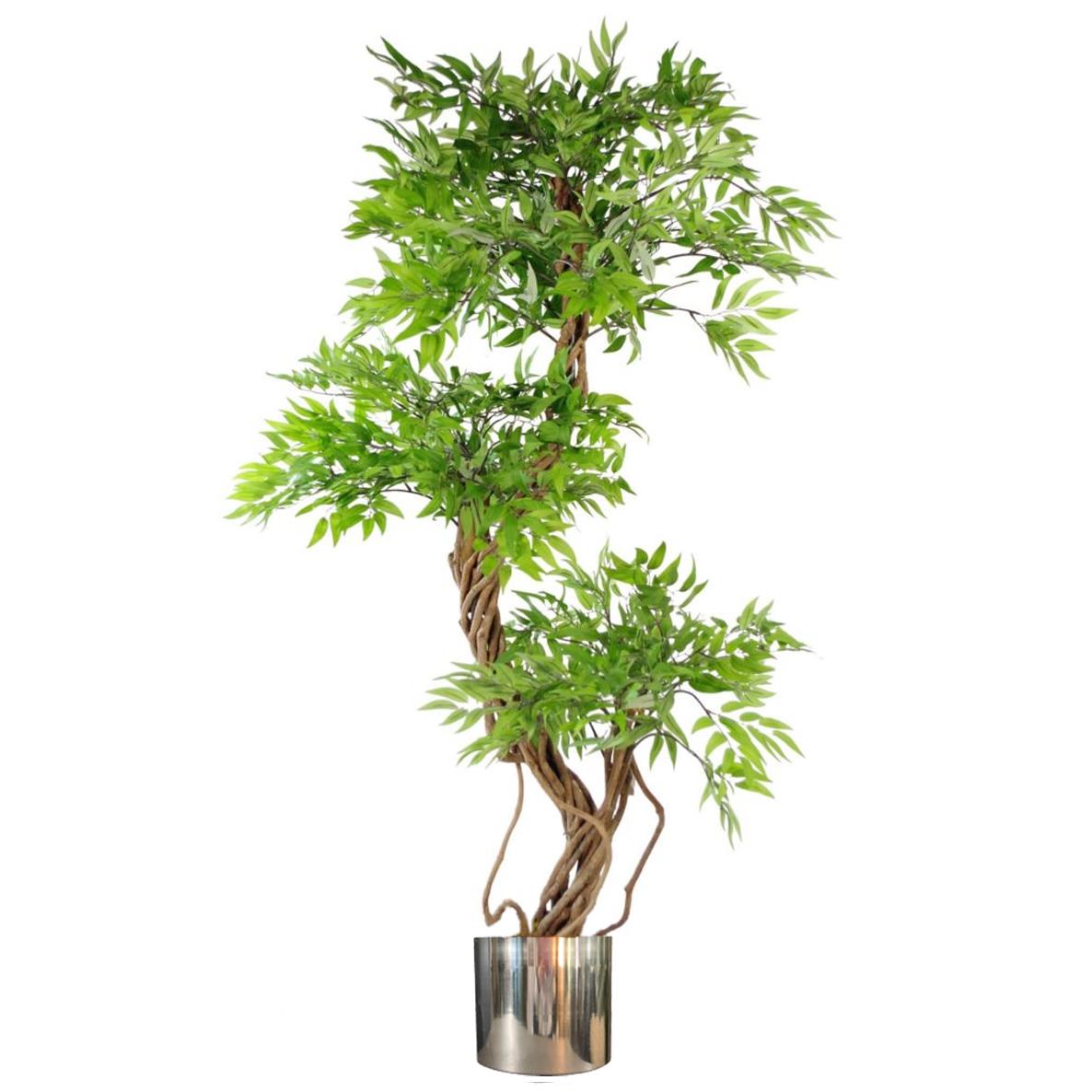 140cm artificial Japanese Fruticosa ficus tree with green and silver leaves.
