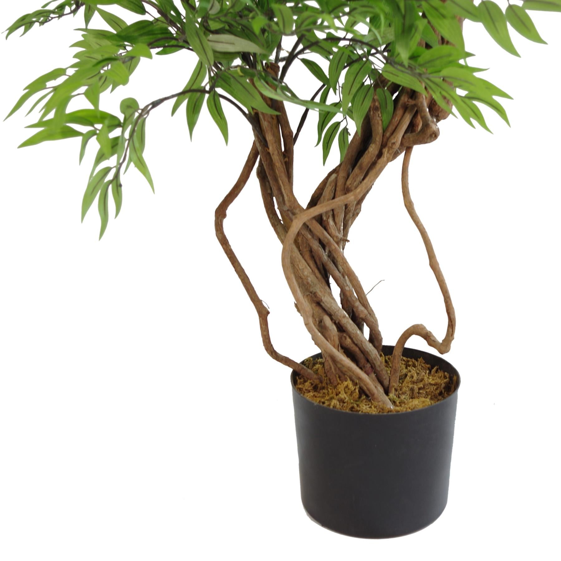 140cm artificial Japanese Fruticosa ficus tree with green and silver leaves.
