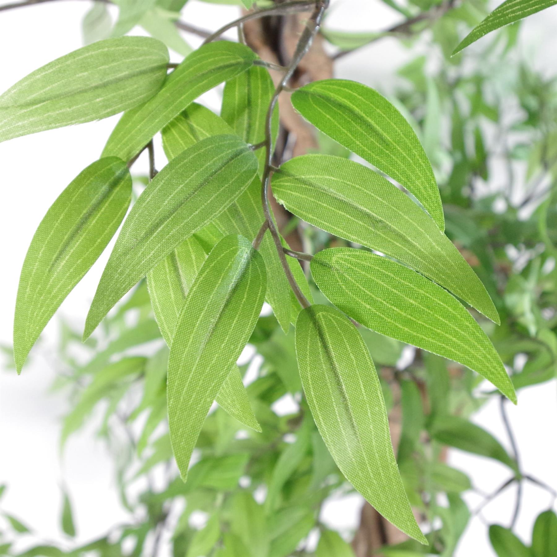 140cm artificial Japanese Fruticosa ficus tree with green and silver leaves.
