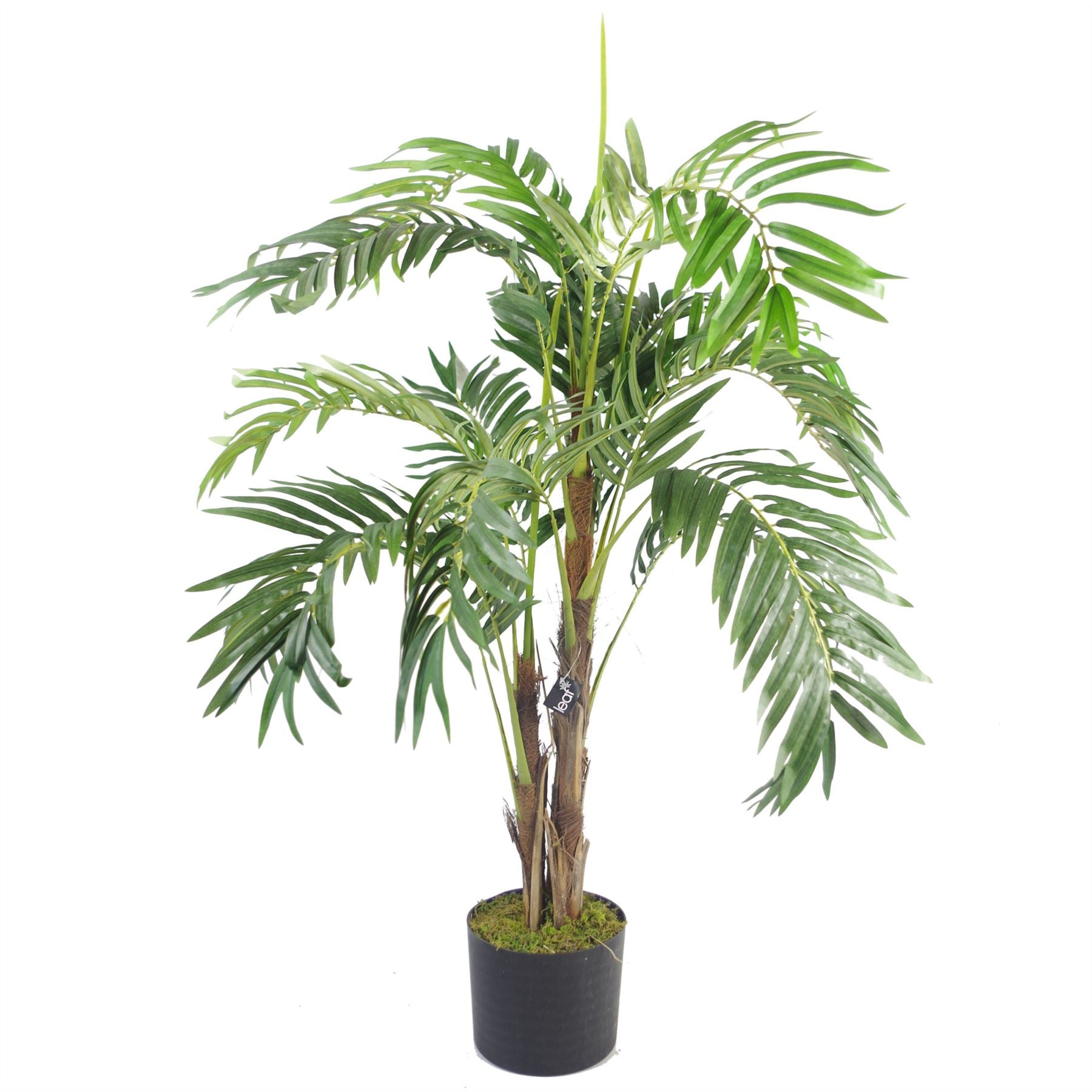{
  "title": "120cm Premium Artificial Palm Tree with Pot",
  "description": "Artificial palm tree with pot. Measures 120cm."
}