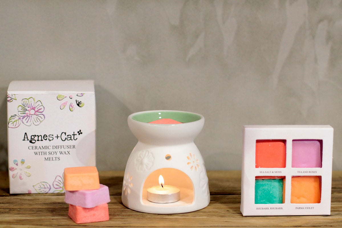 Ceramic Wax Melter & Four Soy Wax Melts