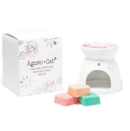 Ceramic Wax Melter & Four Soy Wax Melts