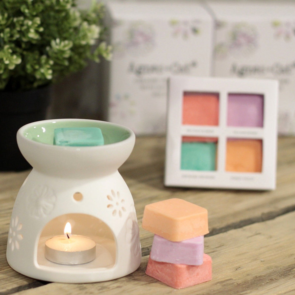 Ceramic Wax Melter & Four Soy Wax Melts