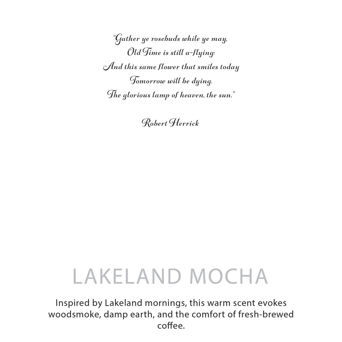 Lakeland Mocha Botanical Soy Candle – alternative view 7
