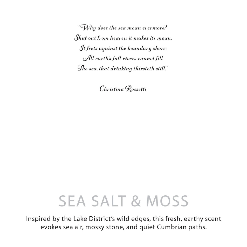 Seasalt & Moss Botanical Soy Candle – alternative view 9