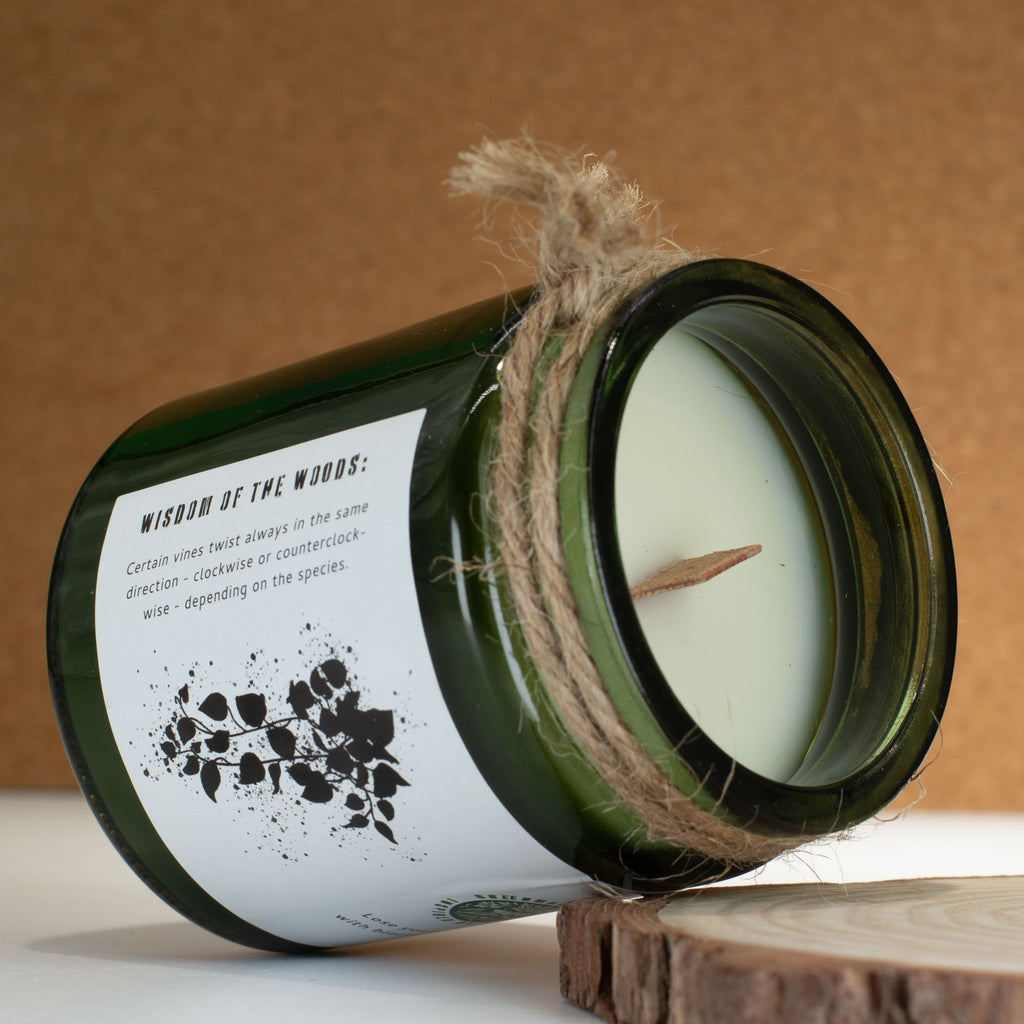 Twilight Vine Woodwick Soy Candle – alternative view 3