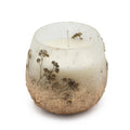 Wildlight Woods Pressed Flower Glass Candle – Small