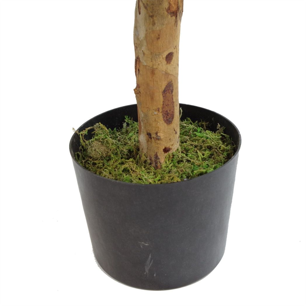 {
  "title": "100cm Artificial Dracaena Plant Tree with Pot",
  "description": "Artificial dracaena plant tree with included pot. Measures 100cm in height."
}